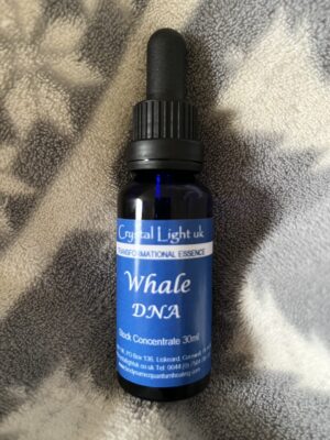 Whale DNA