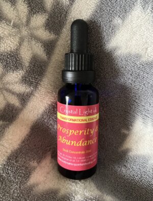 PROSPERITY & ABUNDANCE