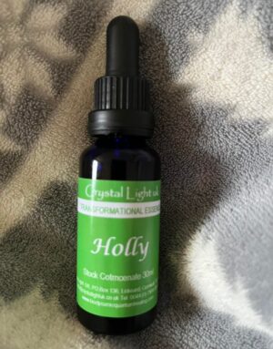 HOLLY